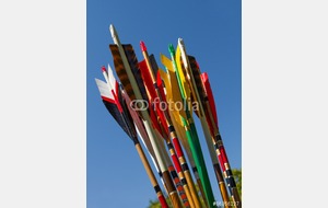 540639f146899_fotolia56056227.jpg